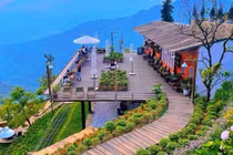 Tránh nóng giới trẻ rủ nhau lên Tam Đảo nghỉ dưỡng cuối tuần