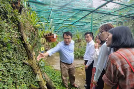 Đoàn VUSTA tham quan các khu vực nghiên cứu, khu cứu hộ động vật, khu bảo tồn thực vật và các mô hình phục hồi rừng, giáo dục môi trường trực quan tại Trung tâm Đa dạng sinh học Mê Linh