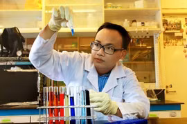TS Việt lọt top 10.000 nhà khoa học ảnh hưởng thế giới về xử lý nước sạch
