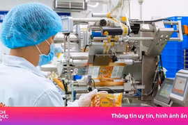 Bánh trung thu vào mùa sớm