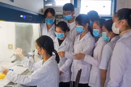 Nhà khoa học Việt lọt top ảnh hưởng toàn cầu, tiên phong nghiên cứu y sinh