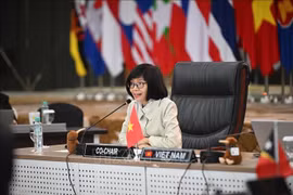 Việt Nam thúc đẩy đối thoại vì một ASEAN gắn kết và bao trùm hơn