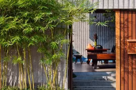 Tổ tiên cảnh báo tuyệt đối không trồng cây này trước cửa nhà