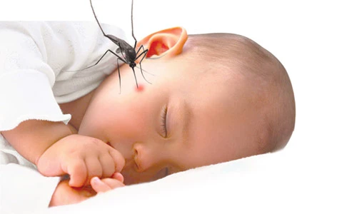 Mẹo chữa vết muỗi đốt cho trẻ nhanh và an toàn