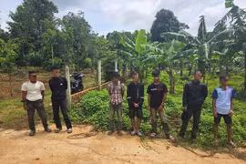 Khởi tố 5 đối tượng cướp giật tài sản lấy tiền ăn nhậu