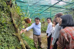 Đoàn VUSTA tham quan các khu vực nghiên cứu, khu cứu hộ động vật, khu bảo tồn thực vật và các mô hình phục hồi rừng, giáo dục môi trường trực quan tại Trung tâm Đa dạng sinh học Mê Linh