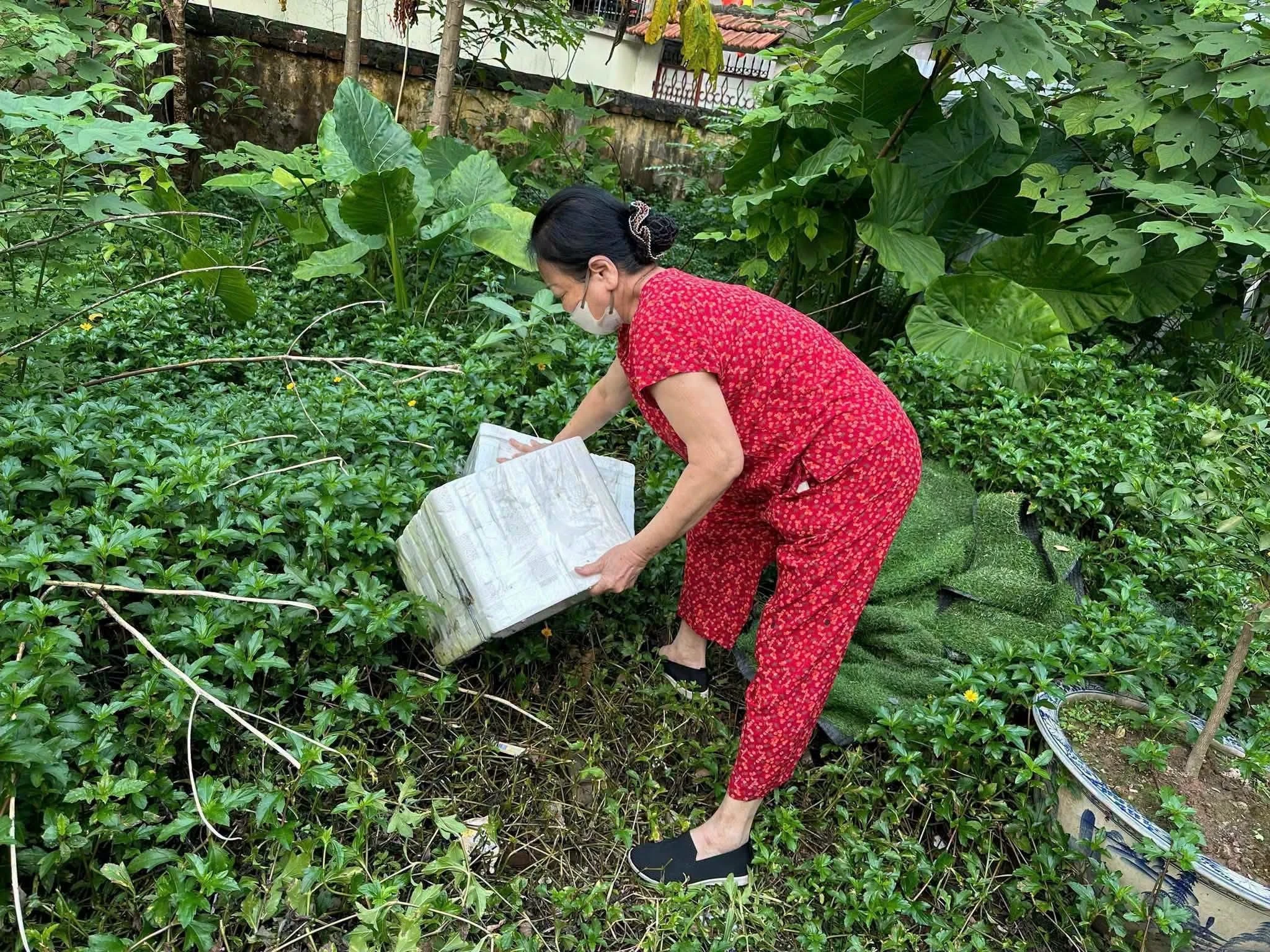 Hà Nội ghi nhận 359 ca sốt xuất huyết, còn nhiều ổ dịch mới