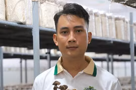 Tốt nghiệp ba ngành, 9X về quê khởi nghiệp với nấm mối đen