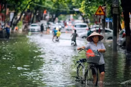 Ngày 17/8, mưa lớn ở Bắc Bộ và Bắc Trung Bộ, có nơi trên 200 mm
