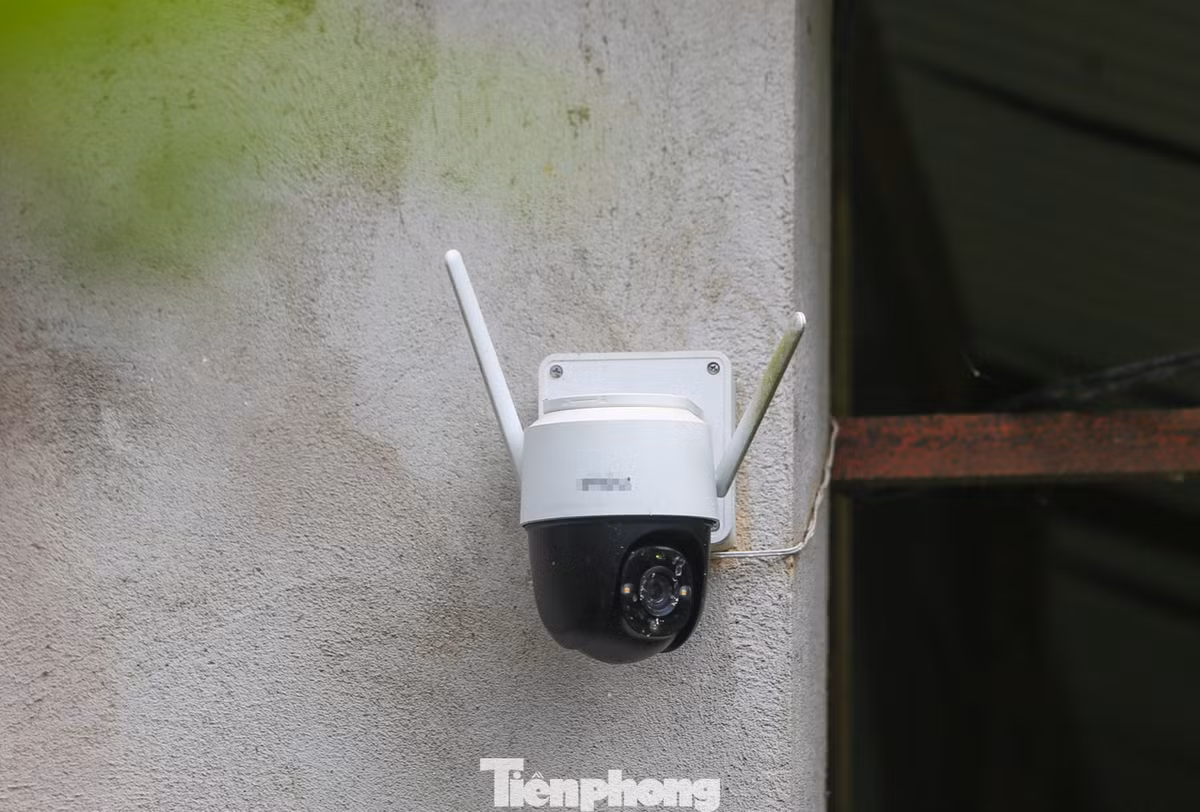 Quanh khu nuôi được lắp đặt camera an ninh để giám sát, theo dõi hoạt động các cá thể hổ.