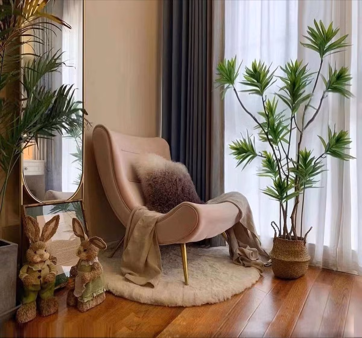 Cây ưa bóng bán phần, tránh ánh nắng trực tiếp để không vàng lá. Tưới nước khoảng một lần mỗi tuần và giữ nhiệt độ trên 10°C vào mùa lạnh. Thỉnh thoảng phun sương để lá luôn bóng đẹp.