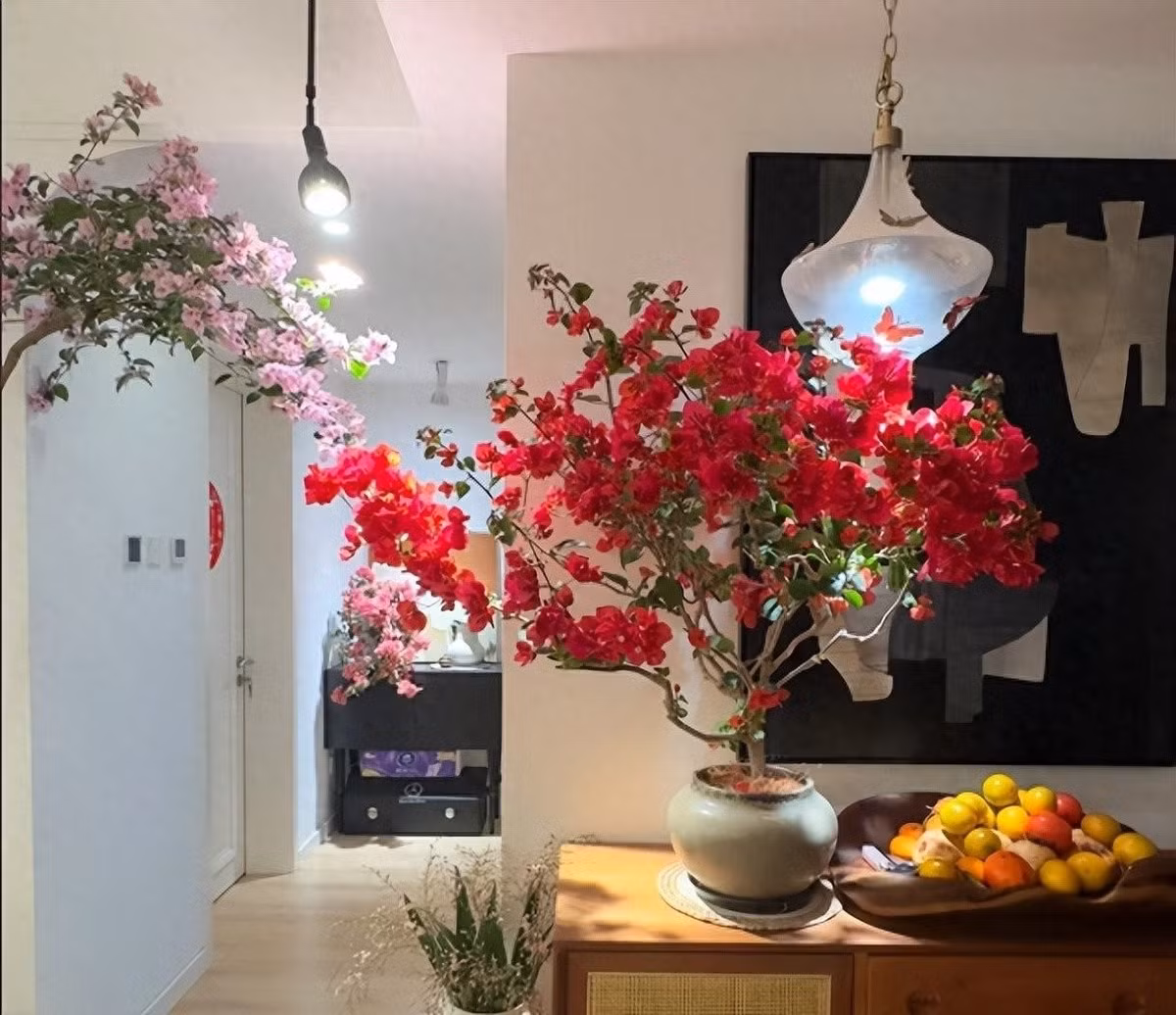 Hoa giấy đỏ đại diện cho sức mạnh và khát vọng. Hồng – dịu dàng, tím – thủy chung, trắng – tinh khiết... Tùy gu thẩm mỹ mà chọn màu mang ý nghĩa riêng.