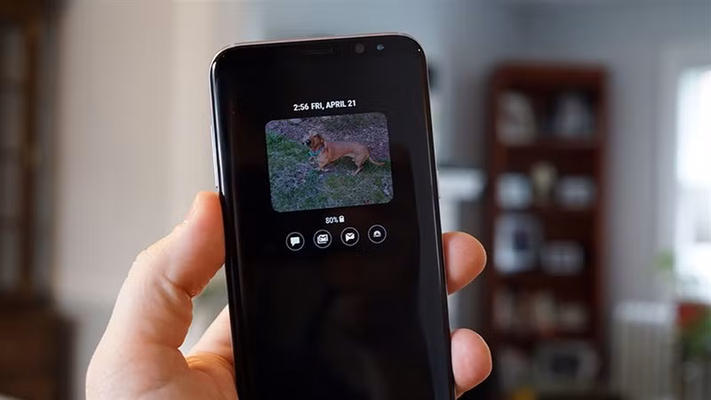 Giới quan sát cho rằng quyết định khai tử 3D Touch không chỉ liên quan đến tỷ lệ sử dụng thấp mà còn xuất phát từ chi phí sản xuất cao, trong khi Apple muốn dành không gian bên trong thiết bị cho các nâng cấp quan trọng hơn như pin lớn hơn, màn hình Always-On Display hay công nghệ ProMotion.