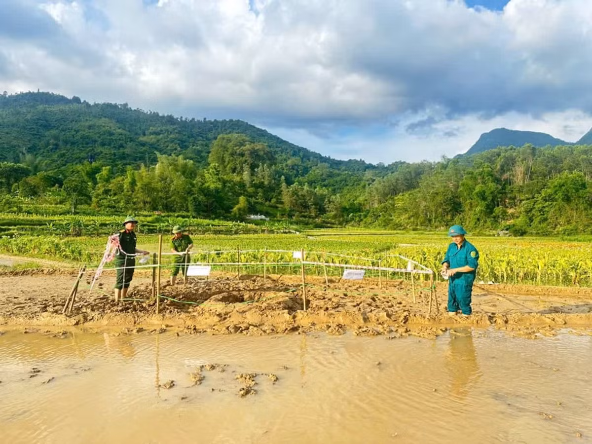 Để đảm bảo an toàn tính mạng và tài sản của nhân dân, chính quyền địa phương đã triển khai rào chắn, cảnh báo đến người dân không đến gần khu vực nguy hiểm.