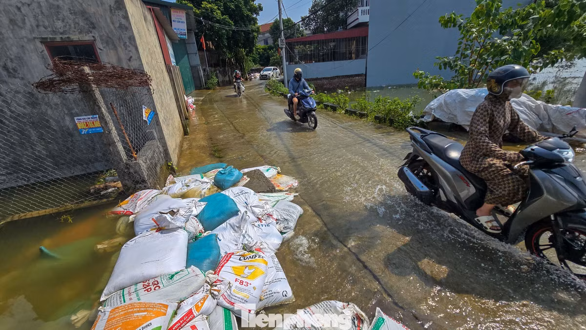 Bao tải được tập kết để gia cố các vị trí nước tràn. Theo chính quyền địa phương, khoảng 7 km đê trên địa bàn thôn bị ảnh hưởng do đợt ngập.