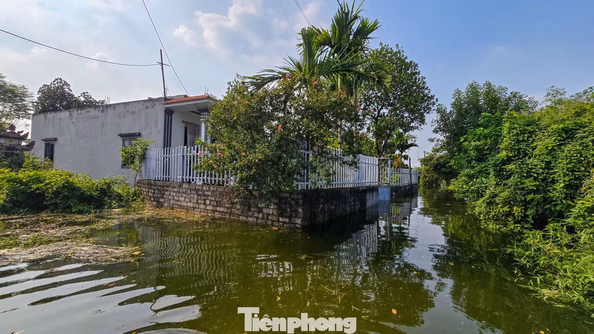 Đợt ngập xảy ra khi nước sông Bùi dâng cao. Lúc 7h ngày 19/9, mực nước tại trạm Yên Duyệt đạt 7,88 m, cao hơn báo động III 0,88 m. Chính quyền xã Trần Phú đã tổ chức di dời người dân tại những khu vực có nguy cơ ngập sâu.