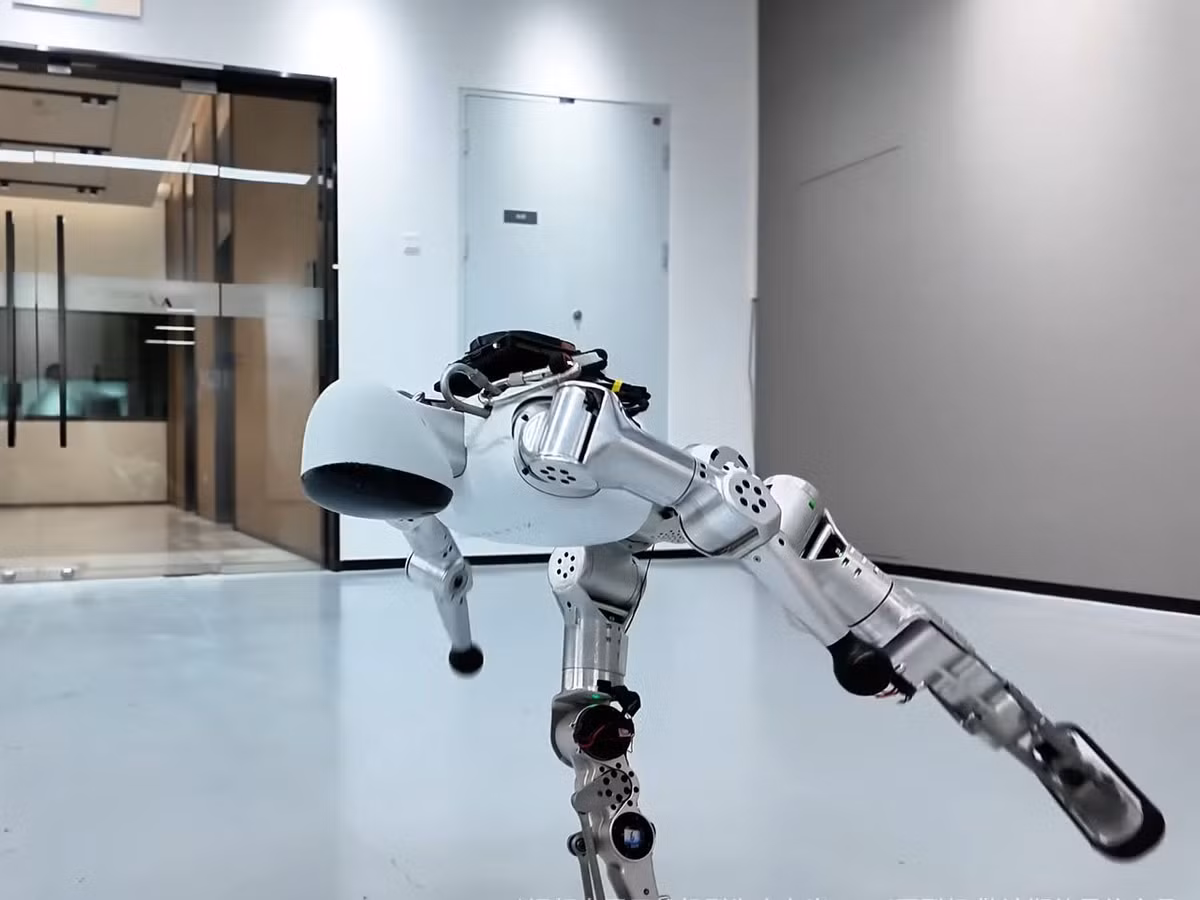 Robot được tích hợp vào hệ sinh thái Joy Inside 2.0, hỗ trợ lập trình mở để người dùng tùy chỉnh tính năng và học AI trực tiếp trên thiết bị.