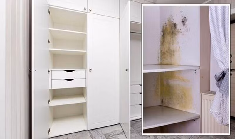 Dù vậy, mùa nồm vừa rồi tủ quần áo vẫn mốc, góc phòng ngủ xuất hiện đốm đen.