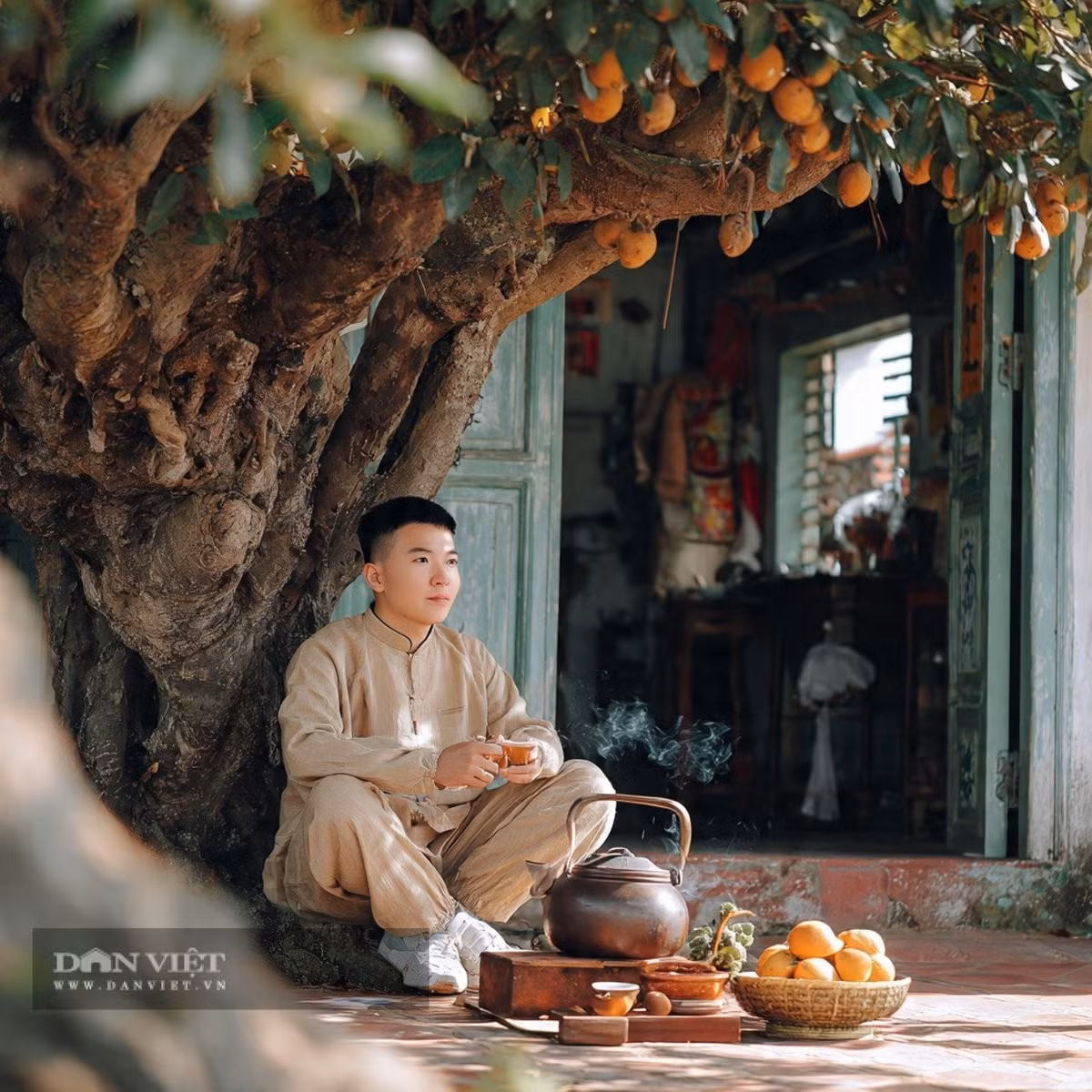 Ngoài hai cây táo tàu và liễu ra, người xưa cũng khuyên không nên chặt bỏ các cây lâu năm khác như bạch quả, mộc hương, cây du, cây hòe, cây hồng, cây lựu...
