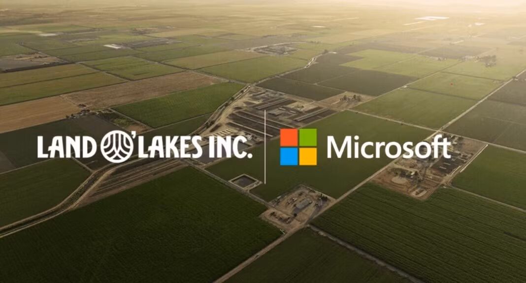 Các tập đoàn như Land O’Lakes và Pearson triển khai Copilot cho hàng chục nghìn nhân viên.