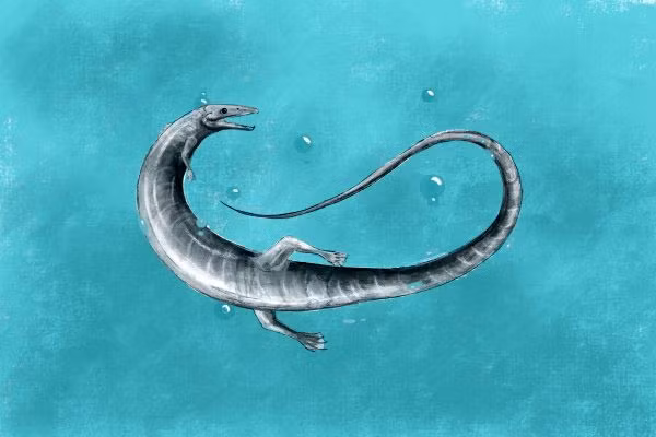 "Rồng quái vật" Pleurosaurus - Ảnh đồ họa: Roberto Ochoa