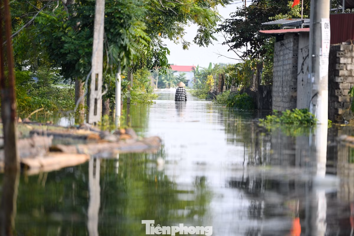Bên trong khu dân cư, nhiều người vẫn bám nhà để trông coi tài sản, chờ nước rút để dọn dẹp và ổn định lại sinh hoạt.