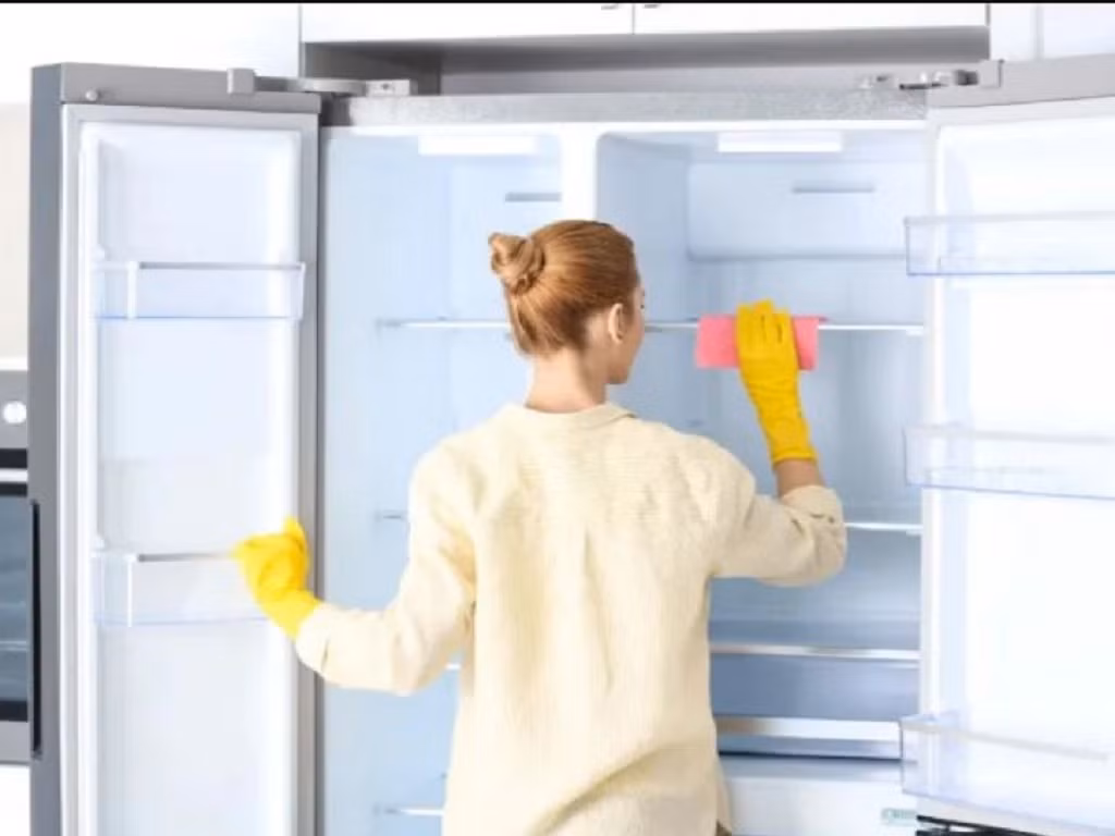 Các chuyên gia khuyến nghị người dùng nên vệ sinh nhẹ tủ lạnh ít nhất mỗi tuần một lần bằng cách kiểm tra thực phẩm hết hạn, loại bỏ đồ ăn hỏng và lau sạch các bề mặt thường xuyên tiếp xúc.