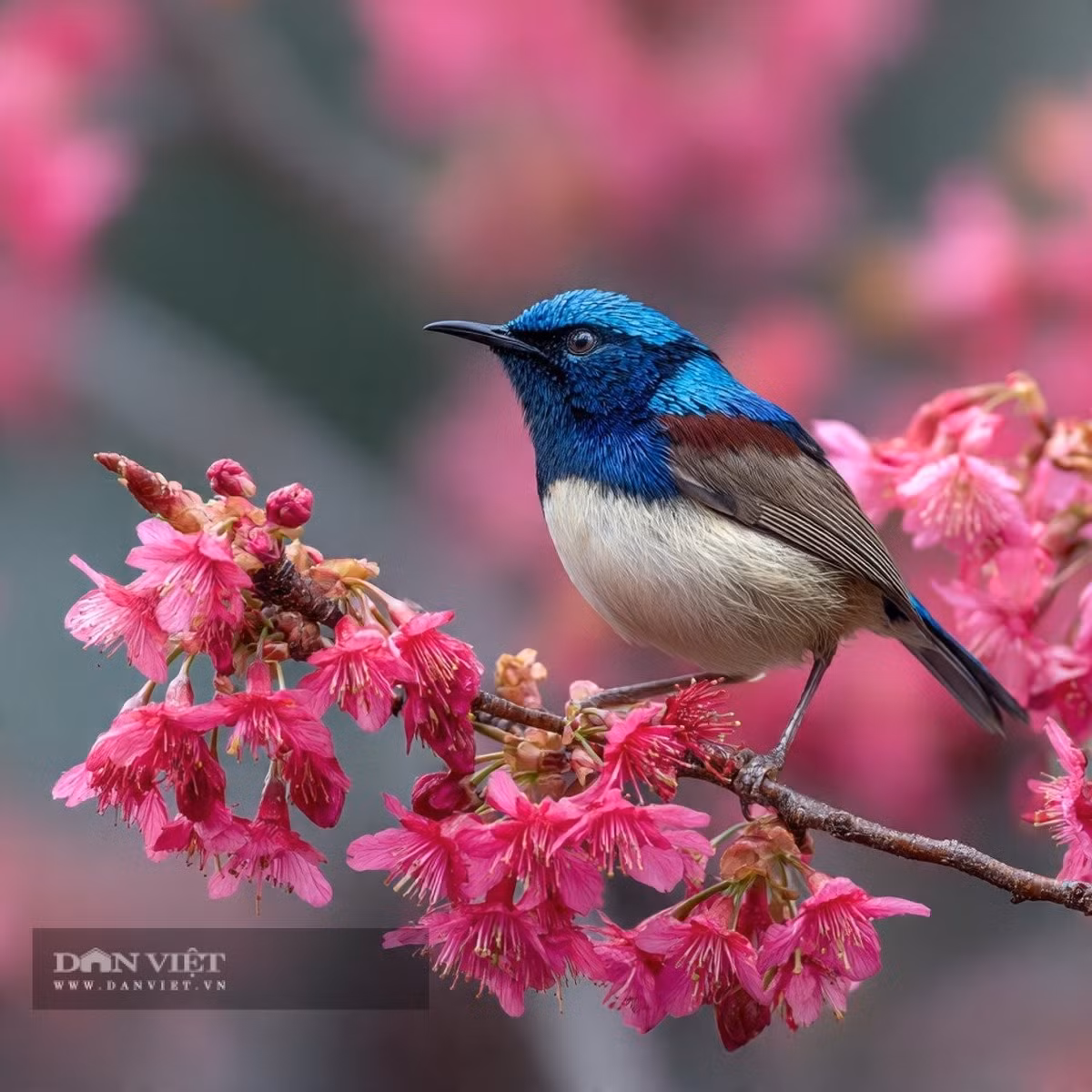 Tràn đầy niềm vui mùa màng, những người sinh vào tháng 8 Âm lịch này dường như có mối liên hệ tự nhiên với mùa thu.