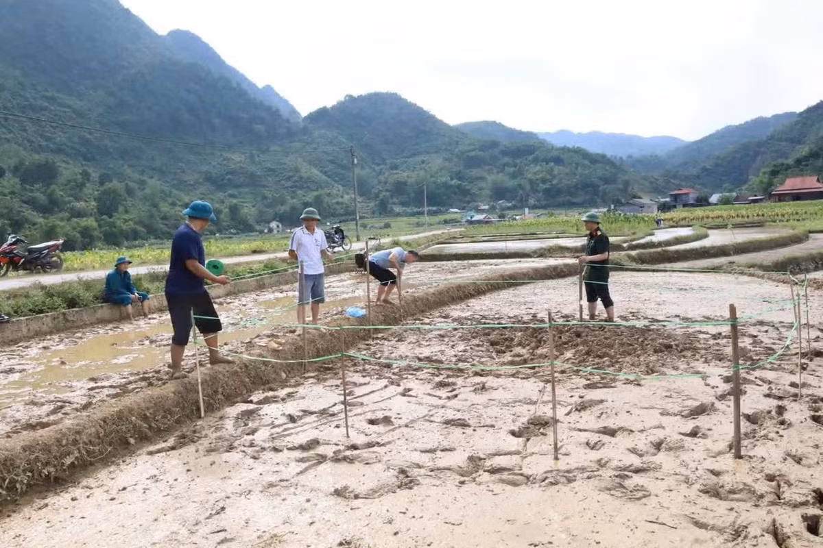 Theo Chủ tịch UBND xã Trường Hà, trước mắt chính quyền tổ chức rào toàn bộ vị trí xung quanh hố sụt lún để tránh người dân hiếu kỳ đến gần gây nguy hiểm. Xã đã báo cáo Sở Nông nghiệp và Môi trường.