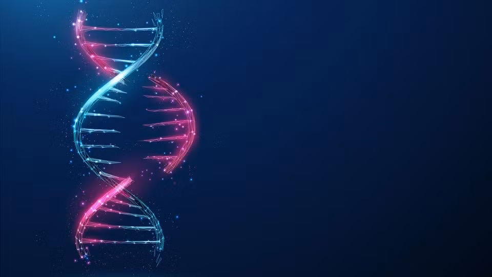 Việc sử dụng CRISPR lên nhện nhà từng được coi là bất khả thi vì gene phức tạp và đặc tính ăn thịt đồng loại của chúng.(Ảnh: Technology Networks)