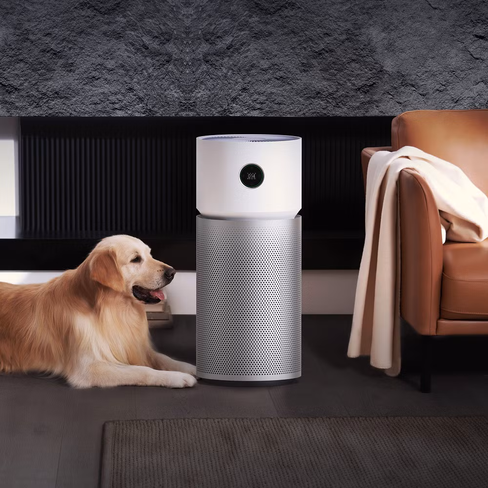 Sự xuất hiện của các bộ giải pháp đồng bộ từ Xiaomi, Dreame và Fujihome cho thấy xu hướng mới của ngành điện gia dụng thông minh, nơi giá trị không còn nằm ở từng sản phẩm riêng lẻ mà ở khả năng phối hợp giữa nhiều thiết bị để giải quyết hiệu quả những nhu cầu thực tế của người nuôi thú cưng trong cuộc sống hàng ngày. ​ ​