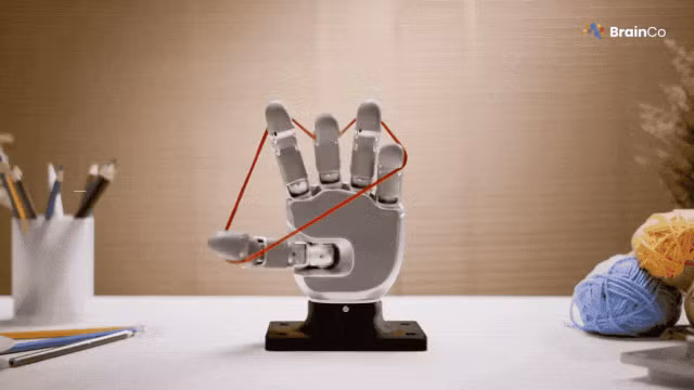 BrainCo vừa trình làng bàn tay robot Revo 3, đánh dấu bước tiến quan trọng trong lĩnh vực trí tuệ hiện thân và giao diện não - máy.
