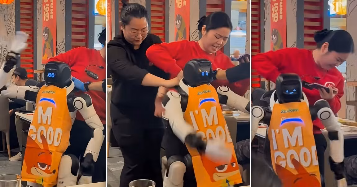Một robot hình người tại nhà hàng Haidilao ở San Jose bất ngờ mất kiểm soát, gây ra cảnh tượng hỗn loạn giữa không gian đông khách.