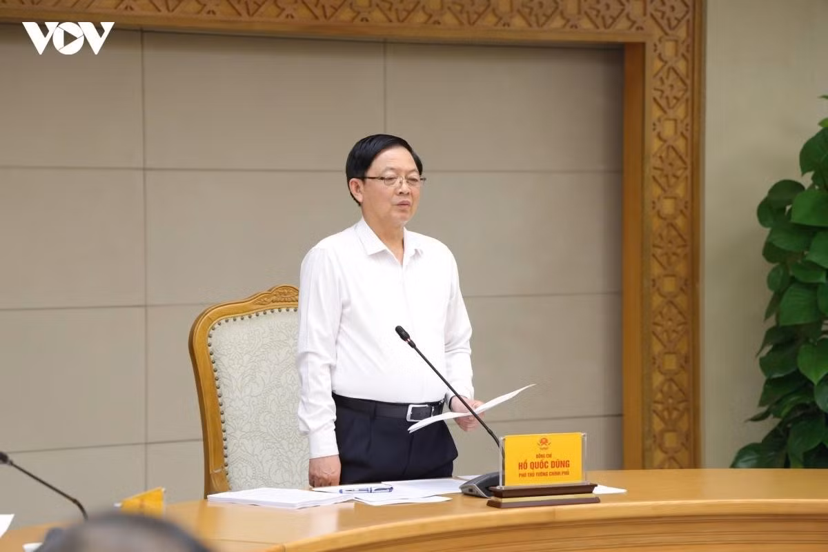 Phó Thủ tướng Chính phủ Hồ Quốc Dũng phát biểu tại buổi làm việc.
