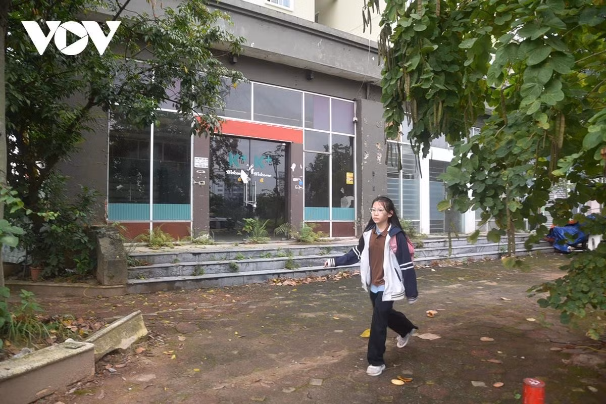 Vỉa hè rêu xanh, cây dại phủ lối đi.