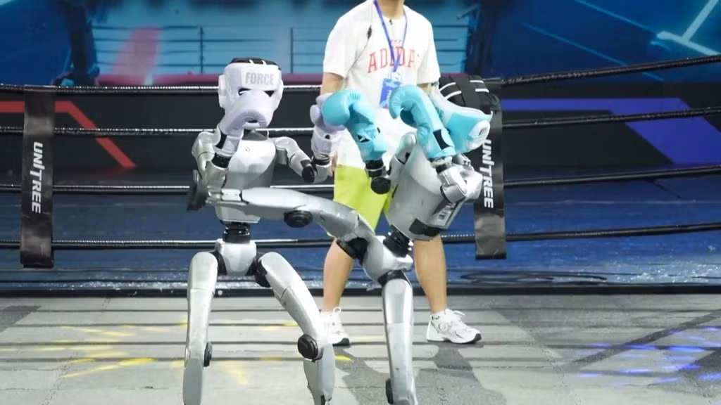 Thiết kế cánh tay và khớp gối của G1 cho phép robot ra đòn linh hoạt như con người.(Ảnh: China Plus South Africa)