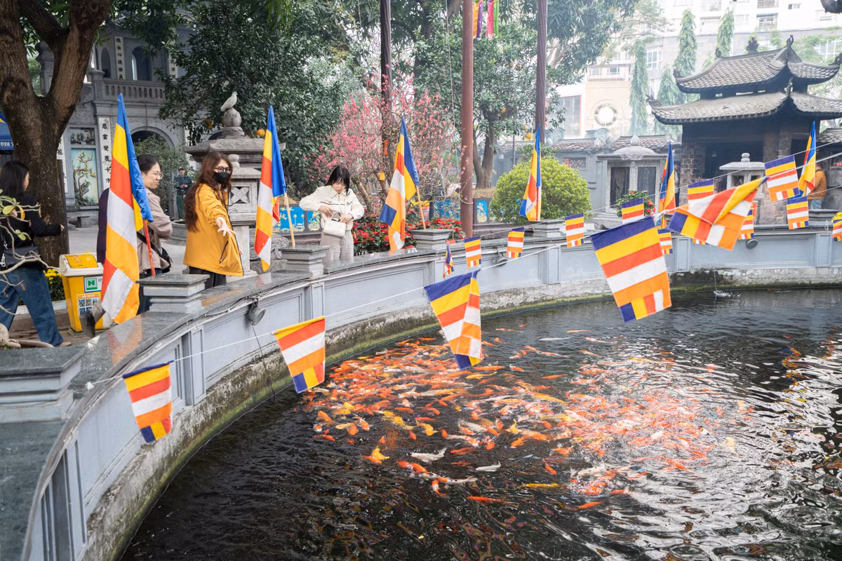 Không chỉ thành tâm dâng hương tại chính điện, nhiều bạn trẻ còn chủ động hỗ trợ bê lễ, sắp xếp đồ cúng ngay ngắn hoặc thả thức ăn cho cá trong hồ khuôn viên chùa. Những hành động nhỏ giúp giữ trật tự và nền nếp nơi cửa Phật.