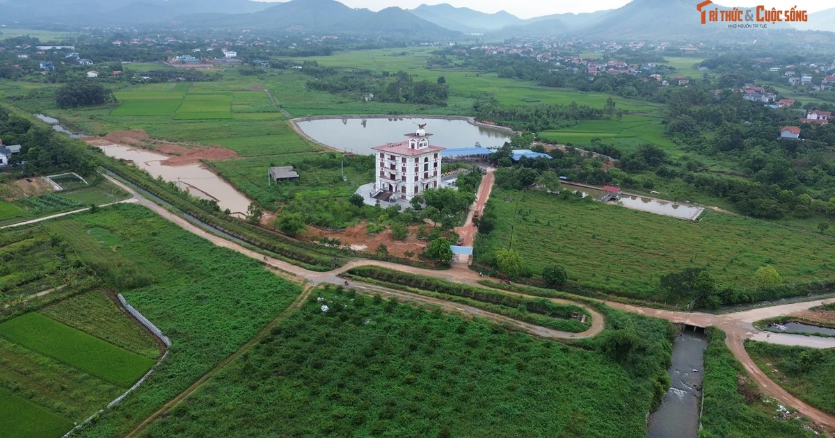 Phú Thọ: Rà soát dấu hiệu vi phạm đất đai ở Xuân Hòa