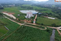 Phú Thọ: Rà soát dấu hiệu vi phạm đất đai ở Xuân Hòa