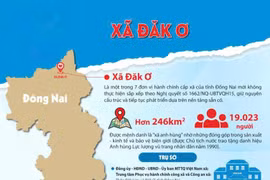 Gói thầu cầu Thôn 10 tại xã Đăk Ơ: Một liên danh bị loại vì lý do kỹ thuật 