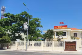 Phường Đô Vinh mới được hình thành từ việc sắp xếp toàn bộ diện tích tự nhiên, quy mô dân số của phường Đô Vinh và xã Nhơn Sơn cũ.