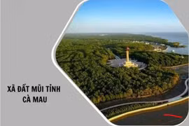 Xã Đất Mũi: Gói thầu giao thông liên ấp hơn 9 tỷ có tỷ lệ tiết kiệm ra sao?