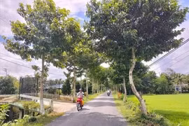 Xã An Bình: Hai nhà thầu cạnh tranh gói nâng cấp Đường GTNT hơn 15,6 tỷ 
