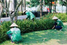 Gói thầu cây xanh gần 5 tỷ ở Tân Biên: Nhà thầu giá thấp hơn 1,54 tỷ bị loại?