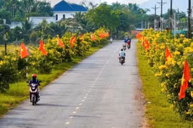 Tây Ninh: Công ty Tăng Việt Thắng trúng 3 gói đường GTNT hơn 14,3 tỷ đồng [Kỳ 2]