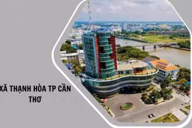 Gói thầu hơn 9,27 tỷ đồng tại Cần Thơ: Nhà thầu giá thấp bị loại, tiết kiệm 0,07%
