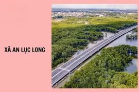Tây Ninh: Đối thủ mắc lỗi khó tin, Liên danh Hùng Hậu trúng thầu sát giá