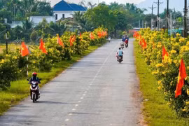 Tây Ninh: Nhà thầu trúng gói xây lắp hơn 3,2 tỷ đồng, tiết kiệm 0,06% [Kỳ 1]