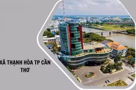 Gói thầu 6,64 tỷ đồng tại Cần Thơ: Vì sao nhà thầu giá thấp không được chọn?