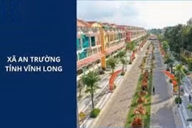 Vĩnh Long: Gói thầu tại xã An Trường thu hút bốn nhà thầu cạnh tranh, tiết kiệm 3,56%